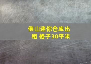 佛山迷你仓库出租 格子30平米